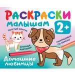 Книга Малыш Домашние любимцы