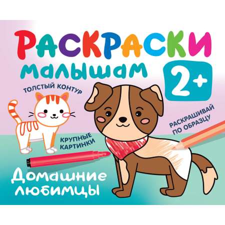 Книга Малыш Домашние любимцы