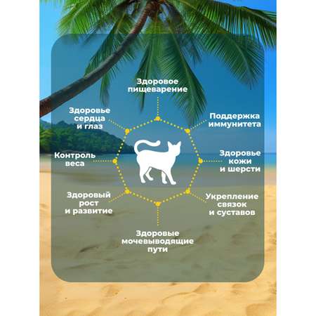 Корм для кошек Родные корма 70г заморские паучи филе тунца с лососем в соусе по-тайски