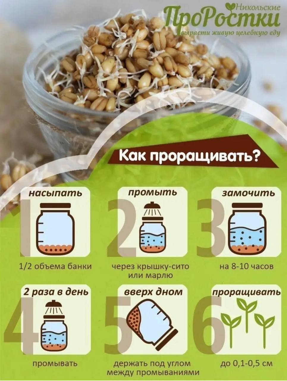 Семена для микрозелени Никольские ПроРостки пшеница - фото 6