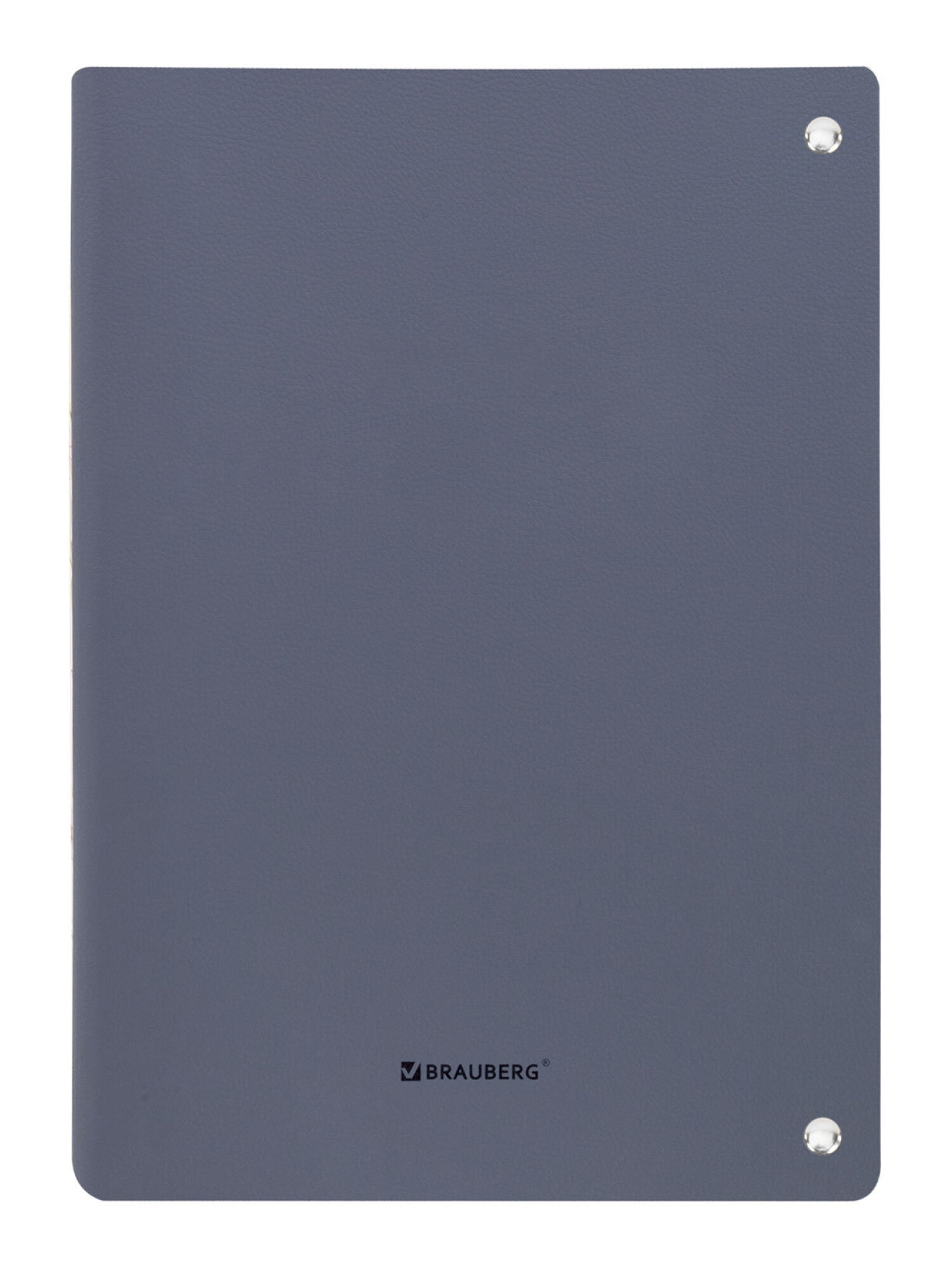 Тетрадь со сменным блоком Brauberg клетка 120 лист. - фото 5