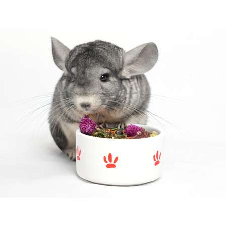 Корм для шиншилл Bambini Pets 800г