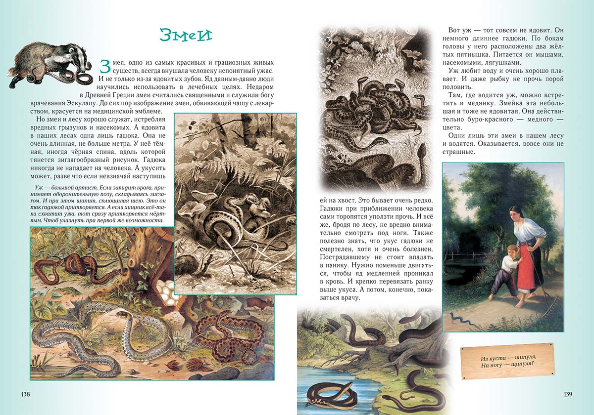 Книга Белый город Прогулки по лесу. - 2-е изд. - фото 11