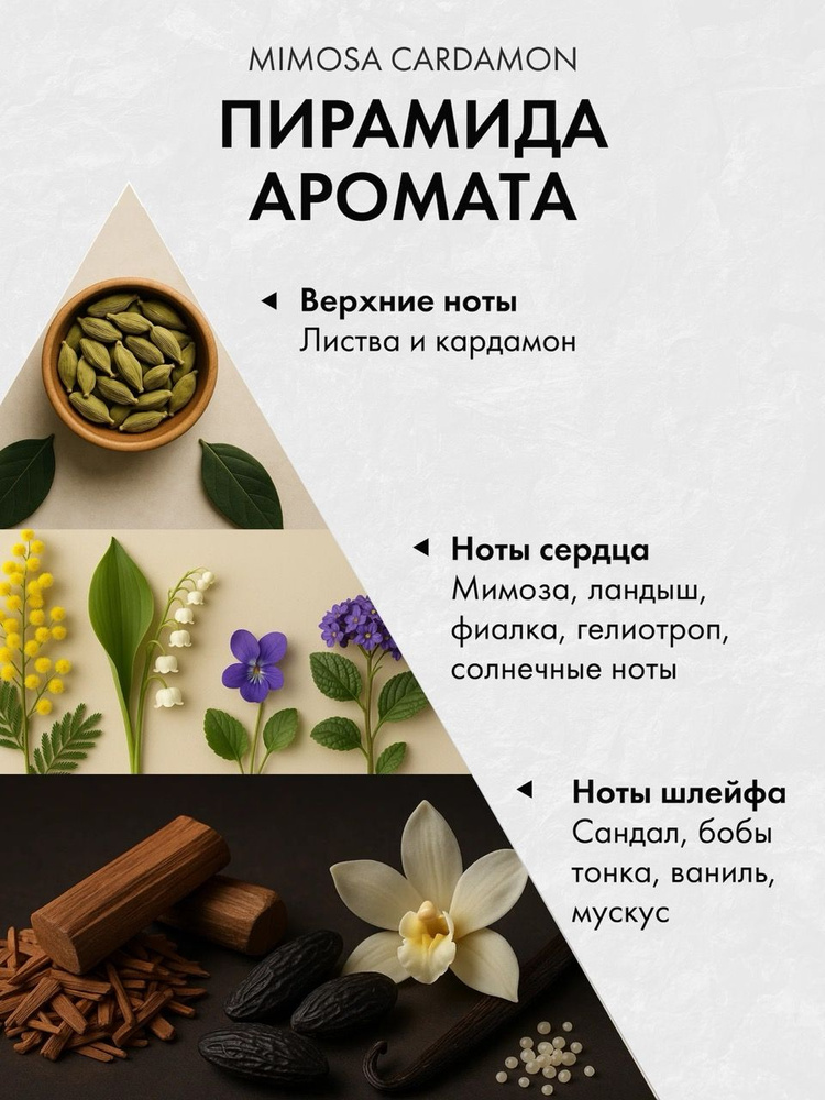 Диффузор с сухоцветами в Премиум тубусе Accents Mimosa Cardamon - фото 2