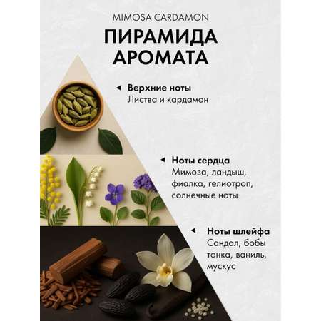 Диффузор с сухоцветами в Премиум тубусе Accents Mimosa Cardamon