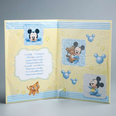 Обложка на документы Disney на свидетельство о рождении