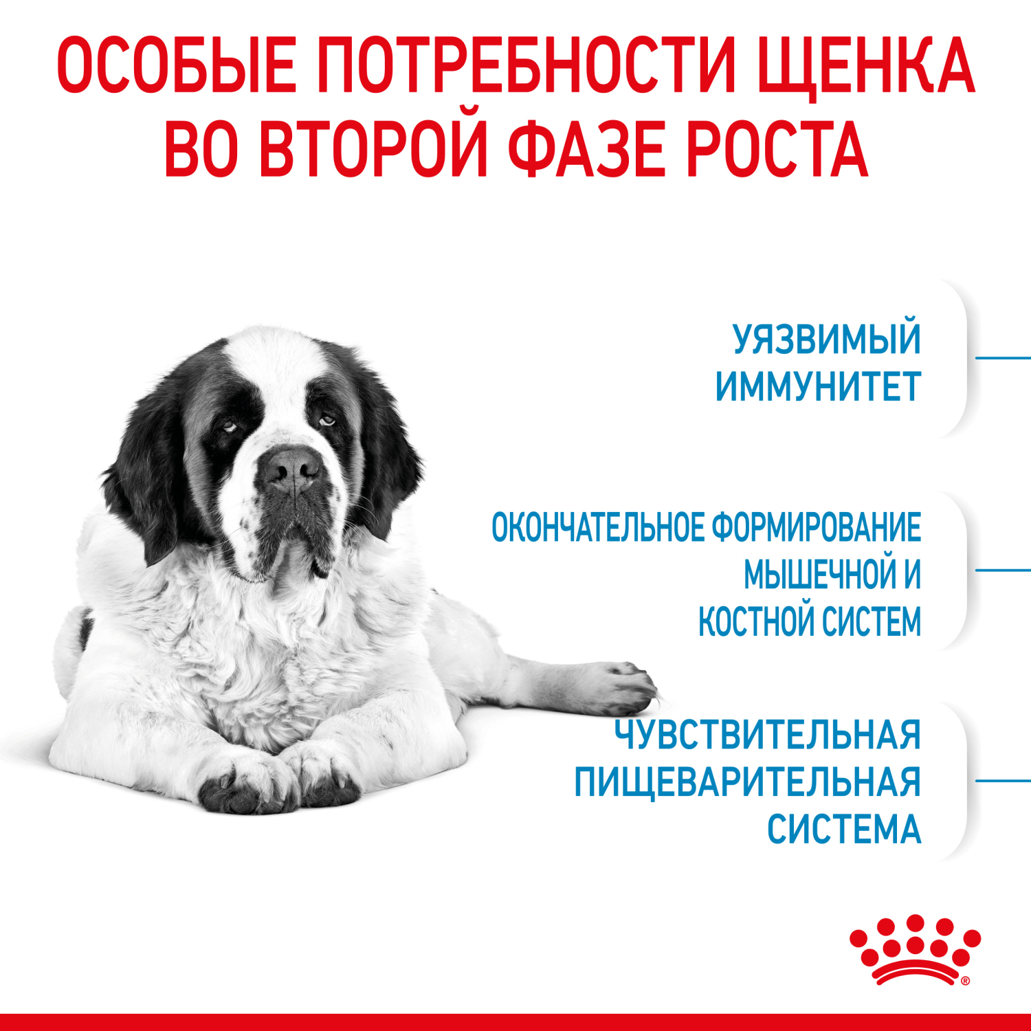 Корм для щенков ROYAL CANIN Junior гигантских пород 3.5кг - фото 5