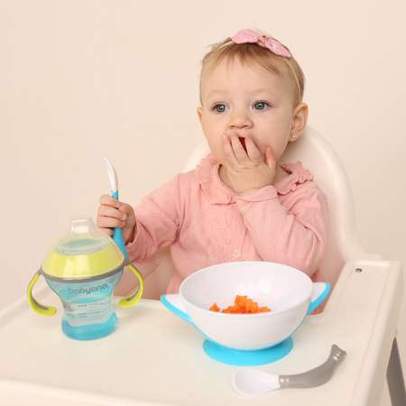 Набор посуды Babyono тарелочка детская 300 мл 2 шт. в ассортименте