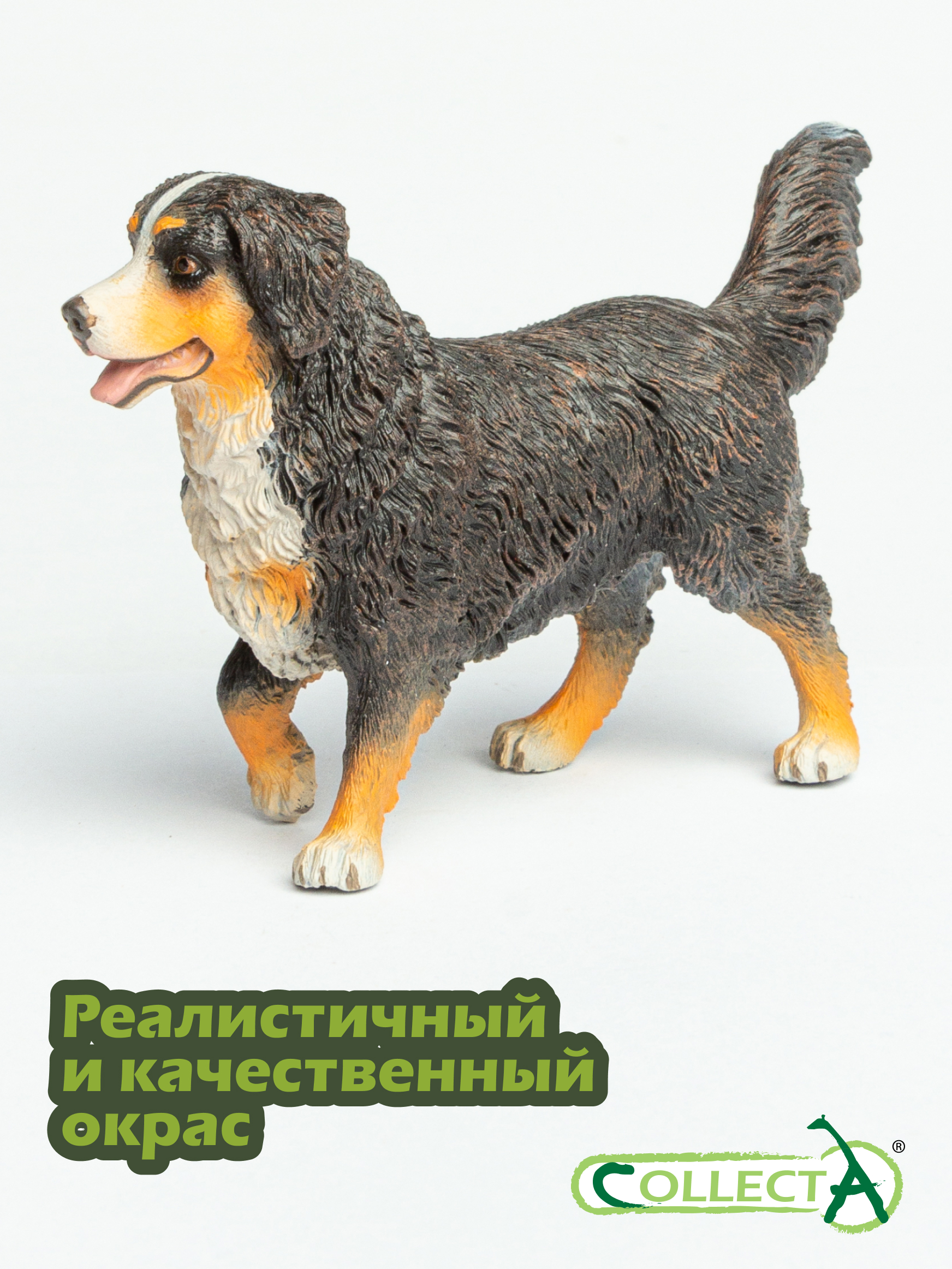 Фигурка Collecta Бернский зенненхунд - фото 4