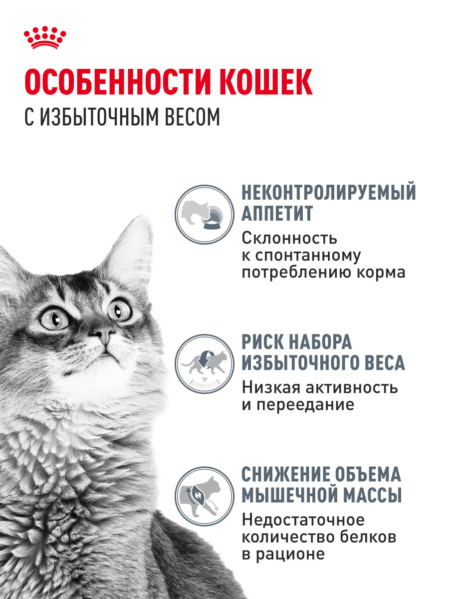 Корм для кошек ROYAL CANIN Light Weight Care для контроля набора веса 85г - фото 2