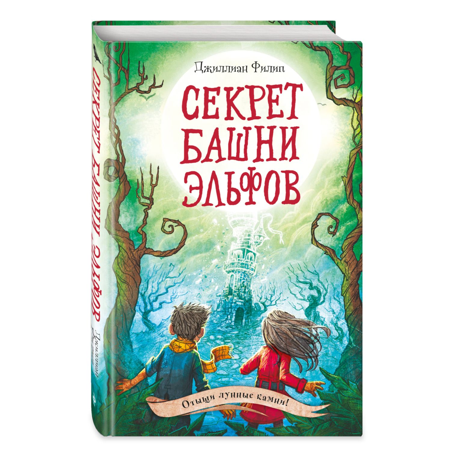 Книга Секрет башни эльфов 3 Тайны острова Рейвенсторм - фото 1