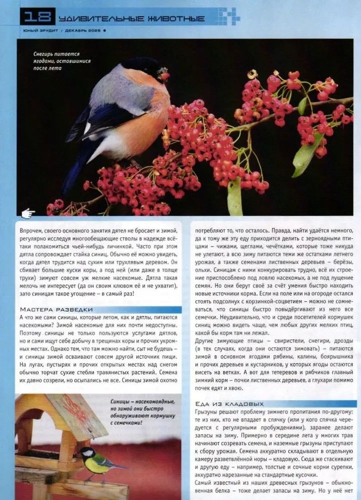 Набор детских журналов ИД Лев Юный Эрудит №10+№11+№12 2025 - фото 7