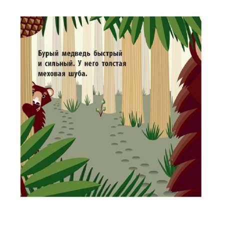 Книга РАНОК Познакомься с нами - Лесная компания