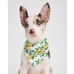 Изображение товара Шарф для собак и кошек Зоозавр: S