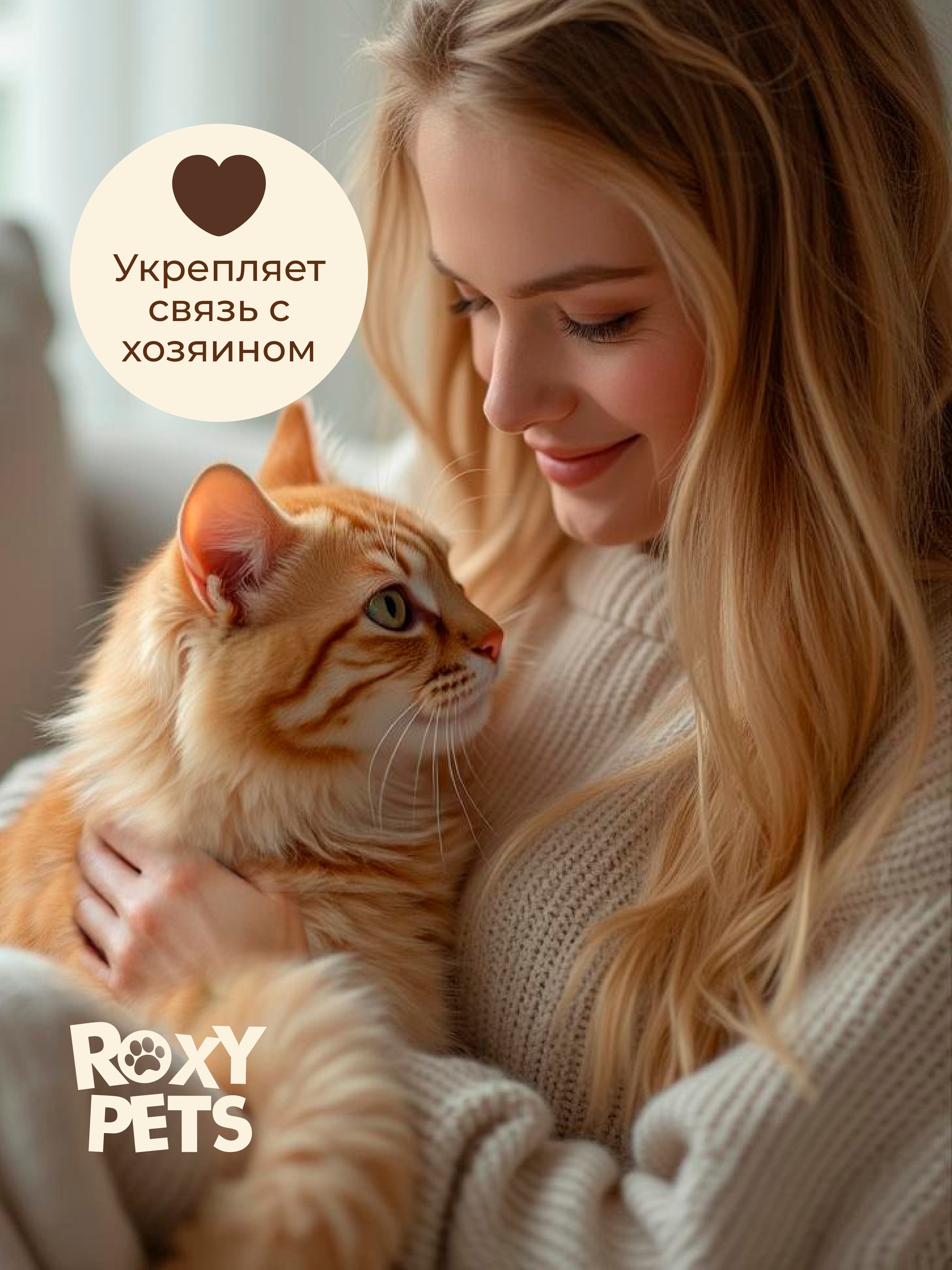 Лакомства для кошек и котят всех пород ROXY PETS из вяленого мяса индейки 3шт х 30гр - фото 12