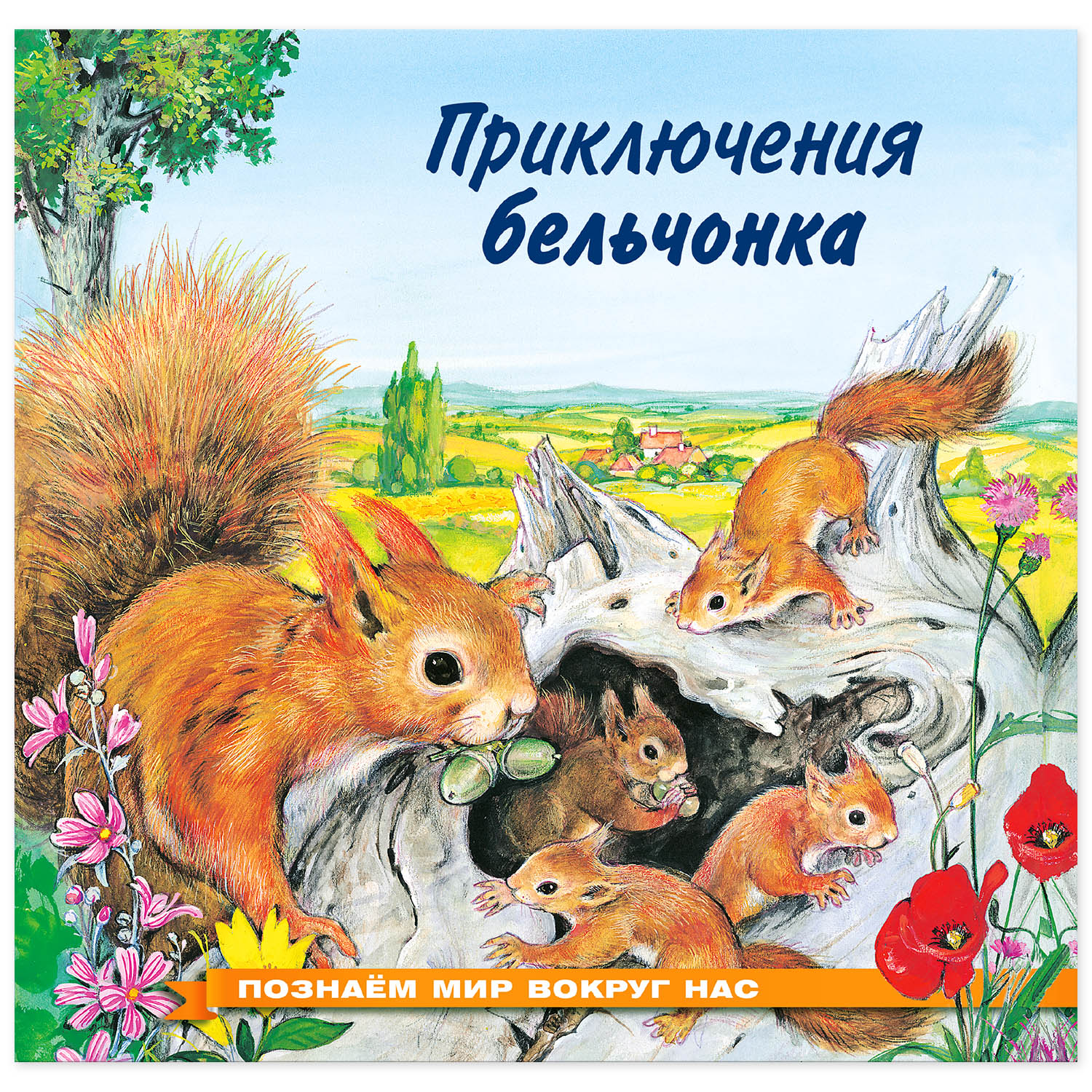 Книга Фламинго Познаем мир вокруг нас. Приключения бельчонка - фото 1