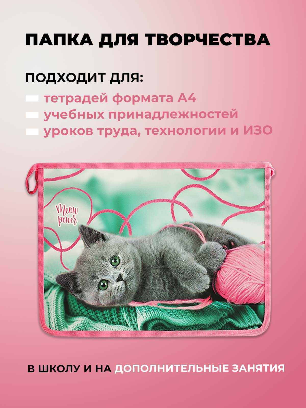 Папка для тетрадей Cancburg А4 - фото 5