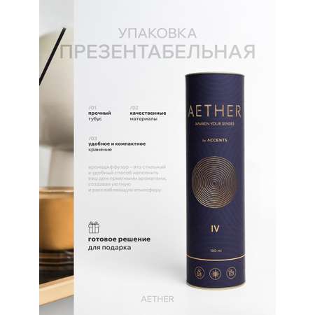 Диффузор с сухоцветами в Премиум тубусе Accents Santal