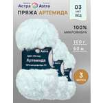 Пряжа Astra Premium Артемида с густым пушистым ворсом 100 г 60 м 03 лед 3 мотка