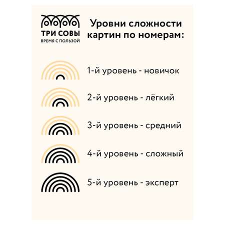 Картина по номерам ТРИ СОВЫ Золото гор