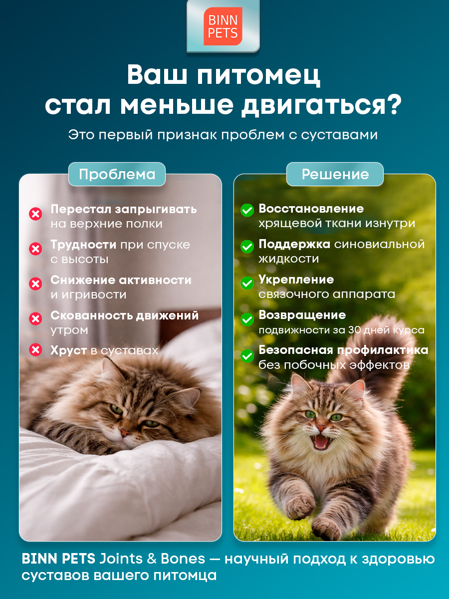 Морской коллаген PETS BIN Суставы и кости 25 г - фото 10