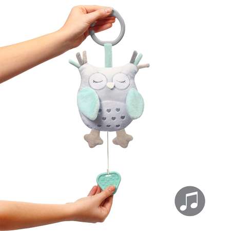Игрушка Babyono подвеска в ассортименте
