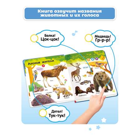 Говорящая книга BertToys Нажималка Животные + Цвета