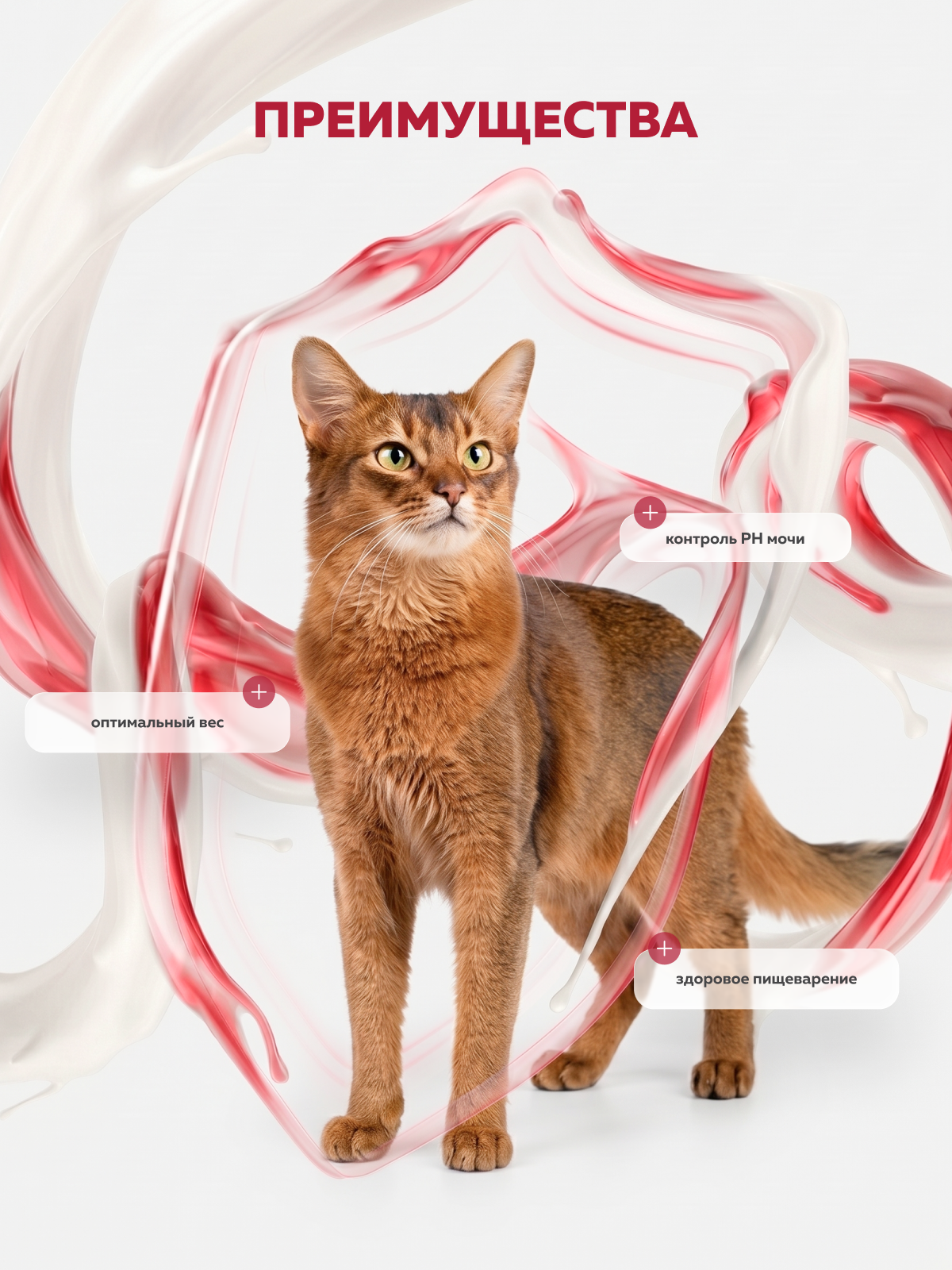 Корм сухой Зоогурман Полнорационный сухой корм Sterilized Говядина 1.5 кг - фото 5