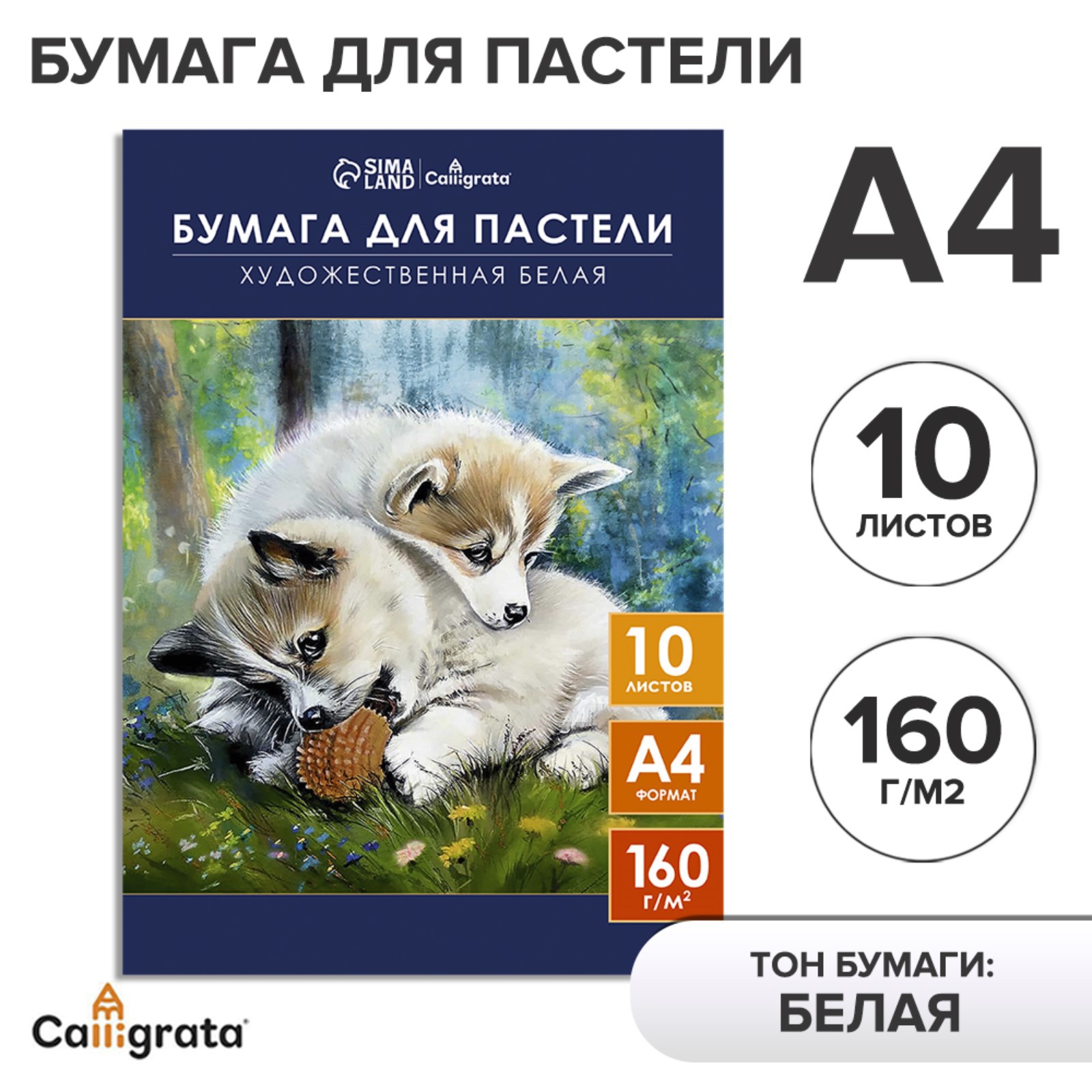 Художественная бумага Calligrata 10 лист. - фото 2