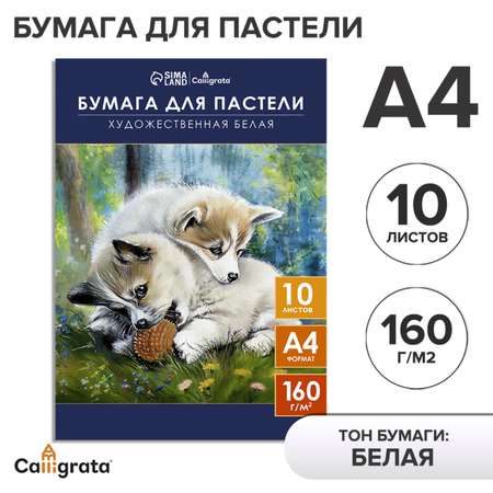 Художественная бумага Calligrata 10 лист.