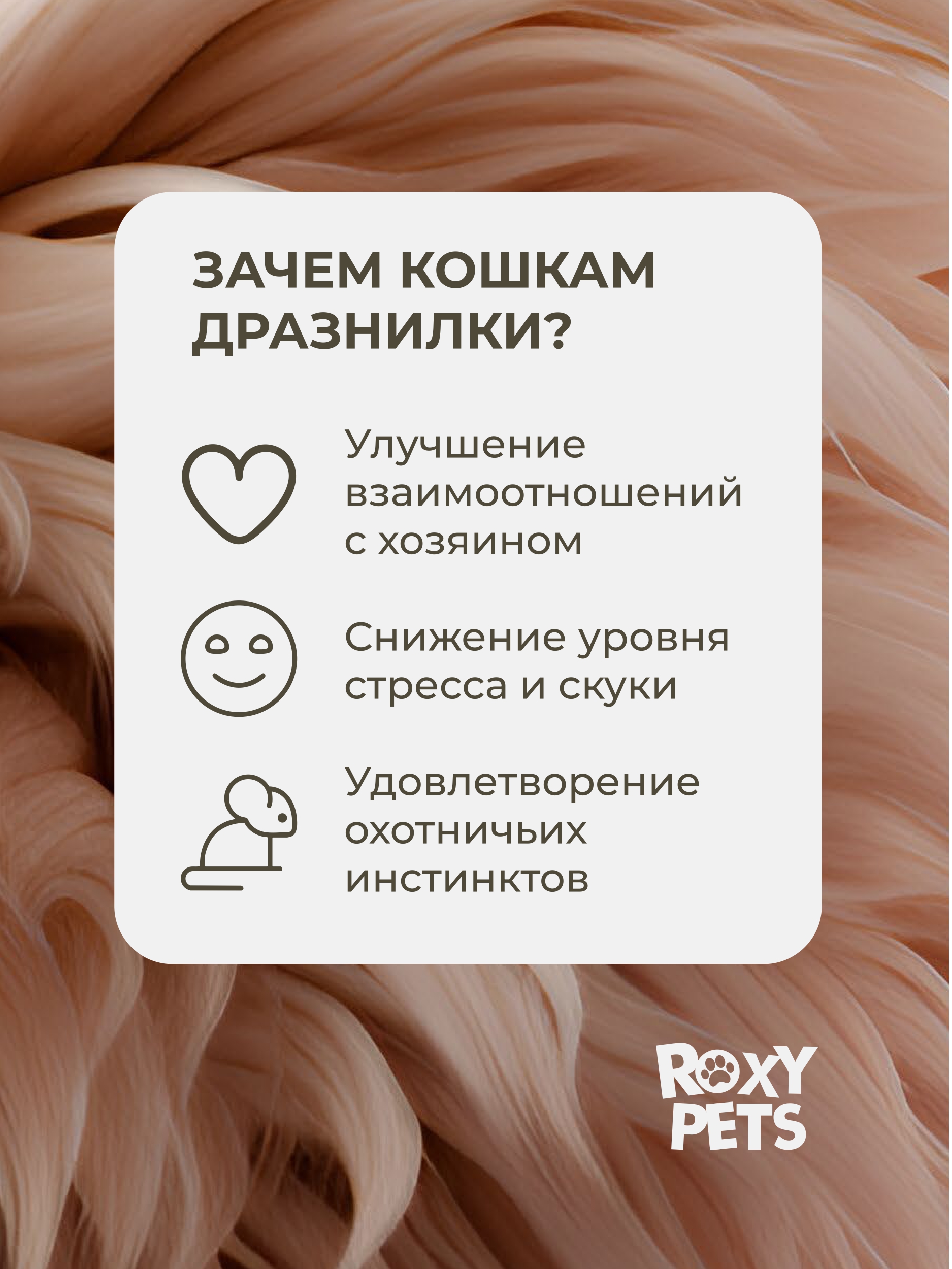 Игрушка ROXY PETS Дразнилка для кошек - фото 3