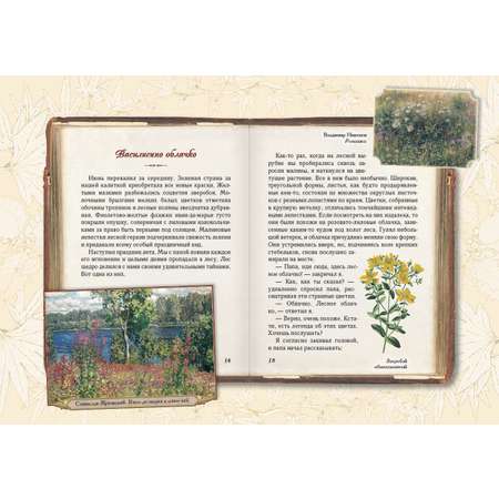 Книга Белый город Солнце для кузнечиков. Олеськины рассказы