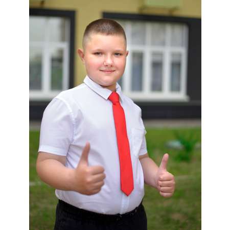 Галстук Stilmark