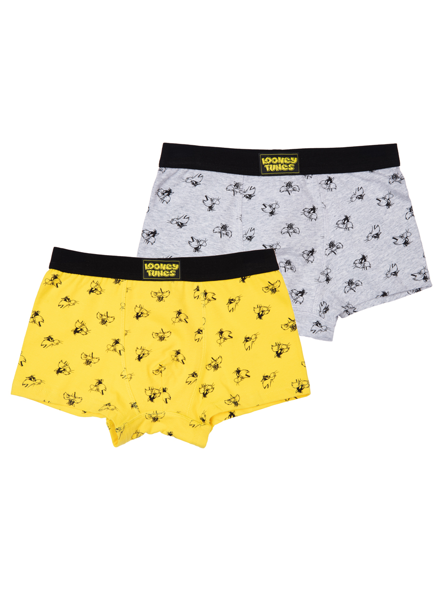 Трусы 2 шт PlayToday 22437004 - фото 1