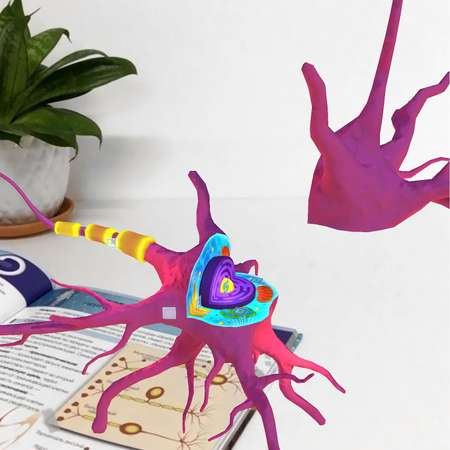 Книга DEVAR 4D Энциклопедия в дополненной реальности. Анатомия