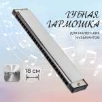 Игрушка музыкальная Veld Co губная гармошка