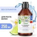 Шампунь Synergetic