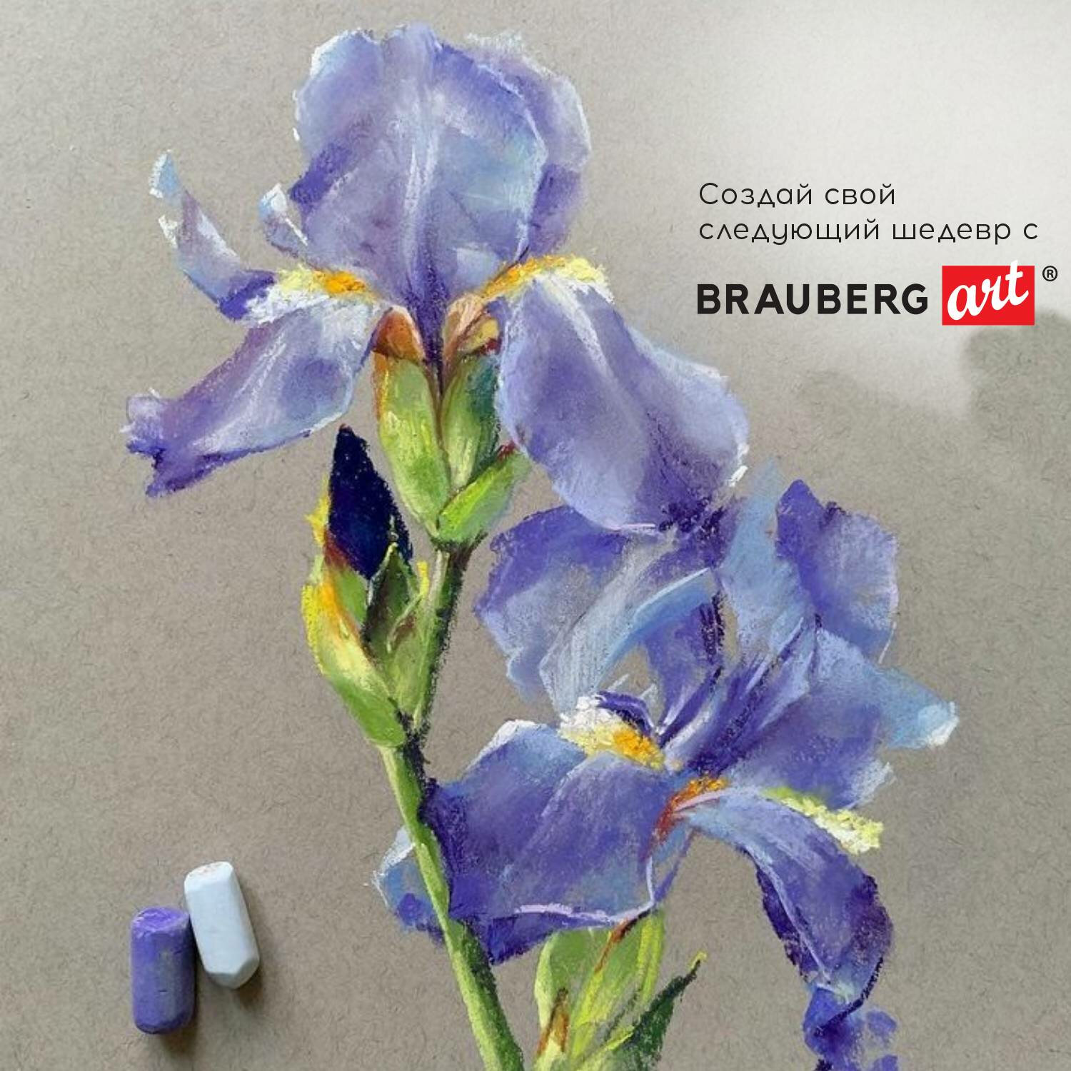 Пастель сухая Brauberg 48 шт. - фото 6