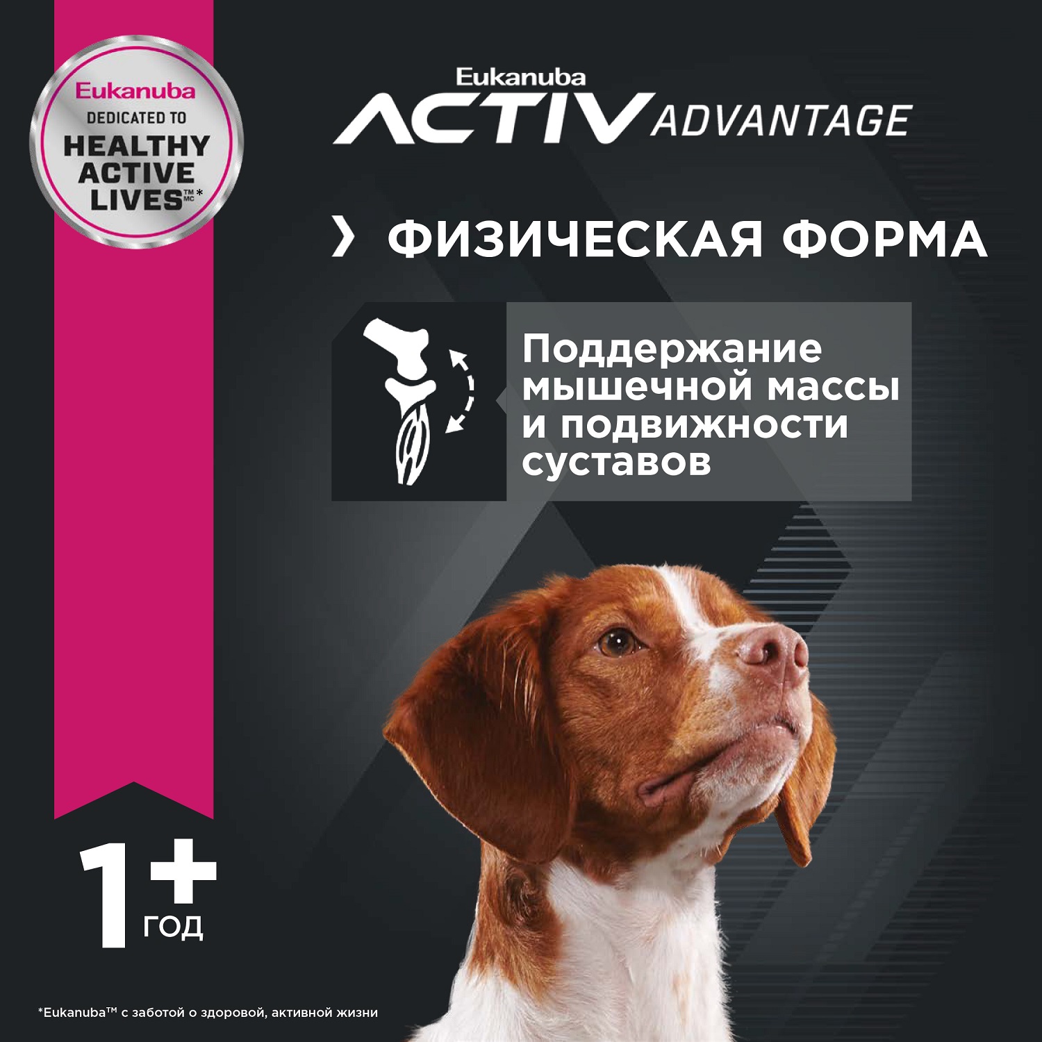 Корм Eukanuba Dog 3кг для взрослых собак средних пород сухой - фото 6