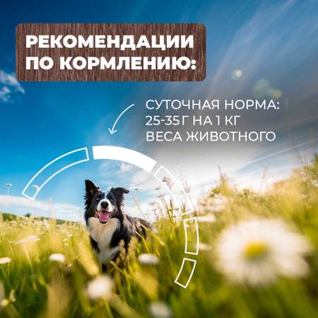 Корм для собак Родные корма курочка по-елецки 970г
