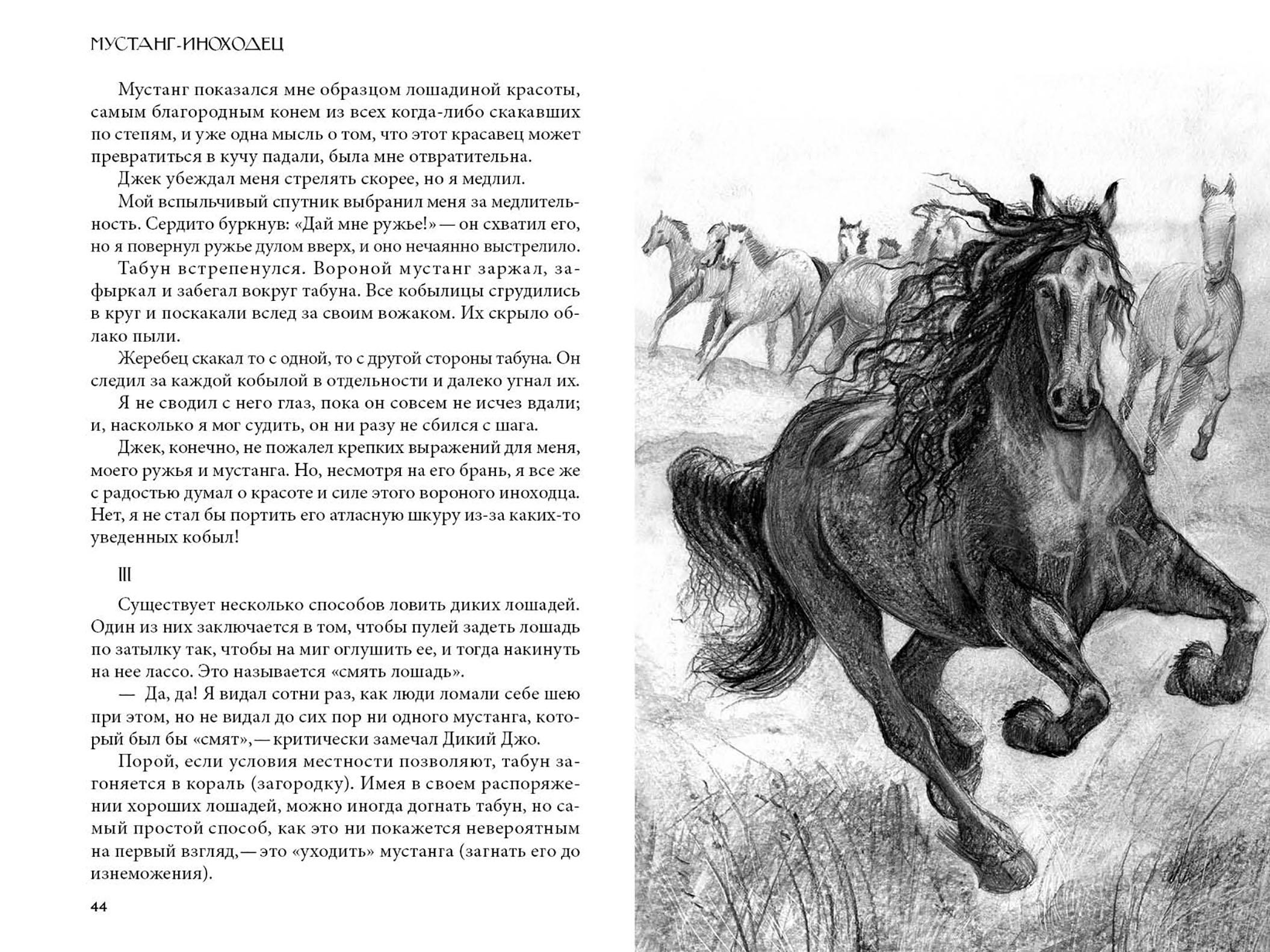 Книга Качели Кошка из трущоб и другие истории - фото 6