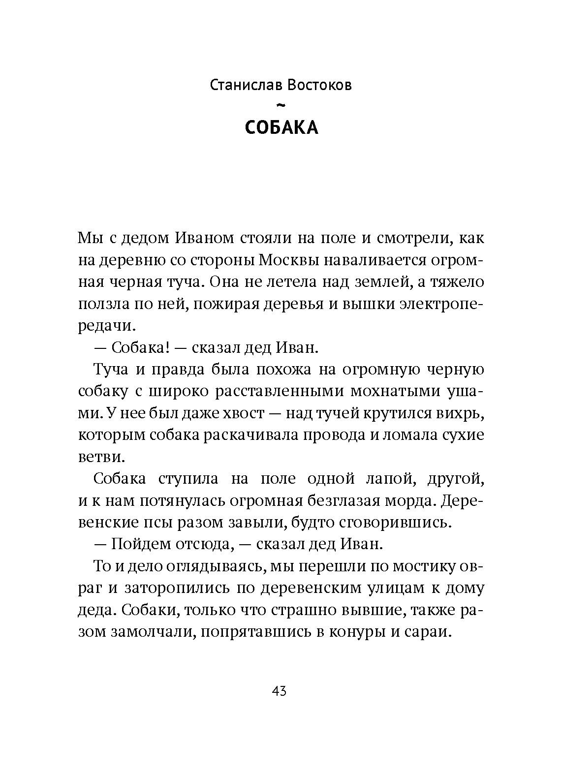 Книга Волчок Поворот - фото 4