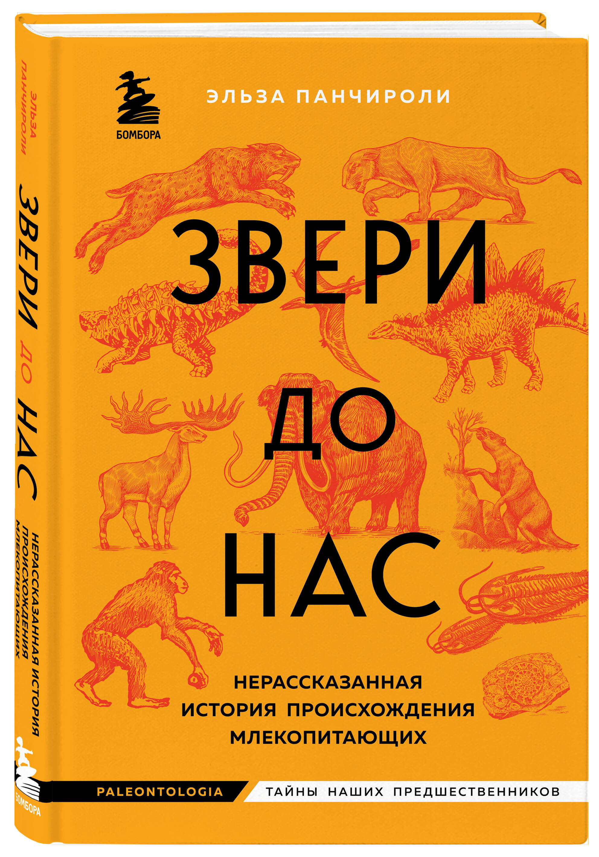 Книга Эксмо Звери до нас Нерассказанная история происхождения млекопитающих - фото 1