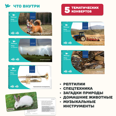 Обучающий набор Умница Мир на ладошке Щенок. Детская энциклопедия в фотографиях