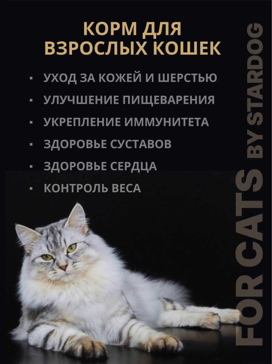 Корм сухой для кошек STARDOG Говядина 1 кг - фото 4