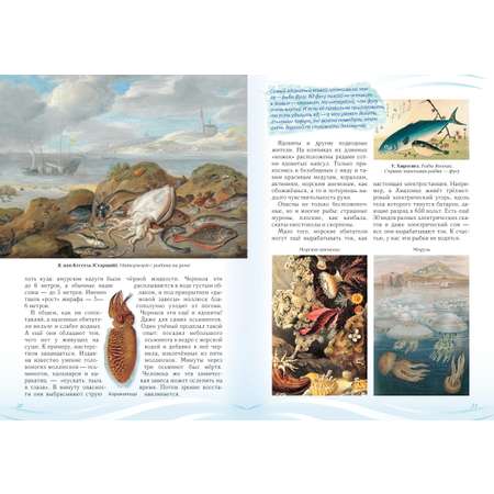 Книга Белый город Русский учебник