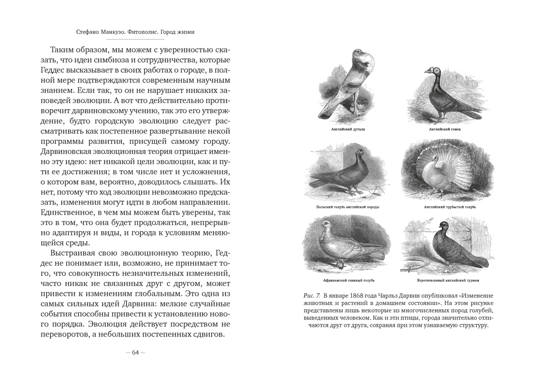 Книга АЗБУКА Бестселлеры NF Манкузо С Фитополис Город жизни - фото 16