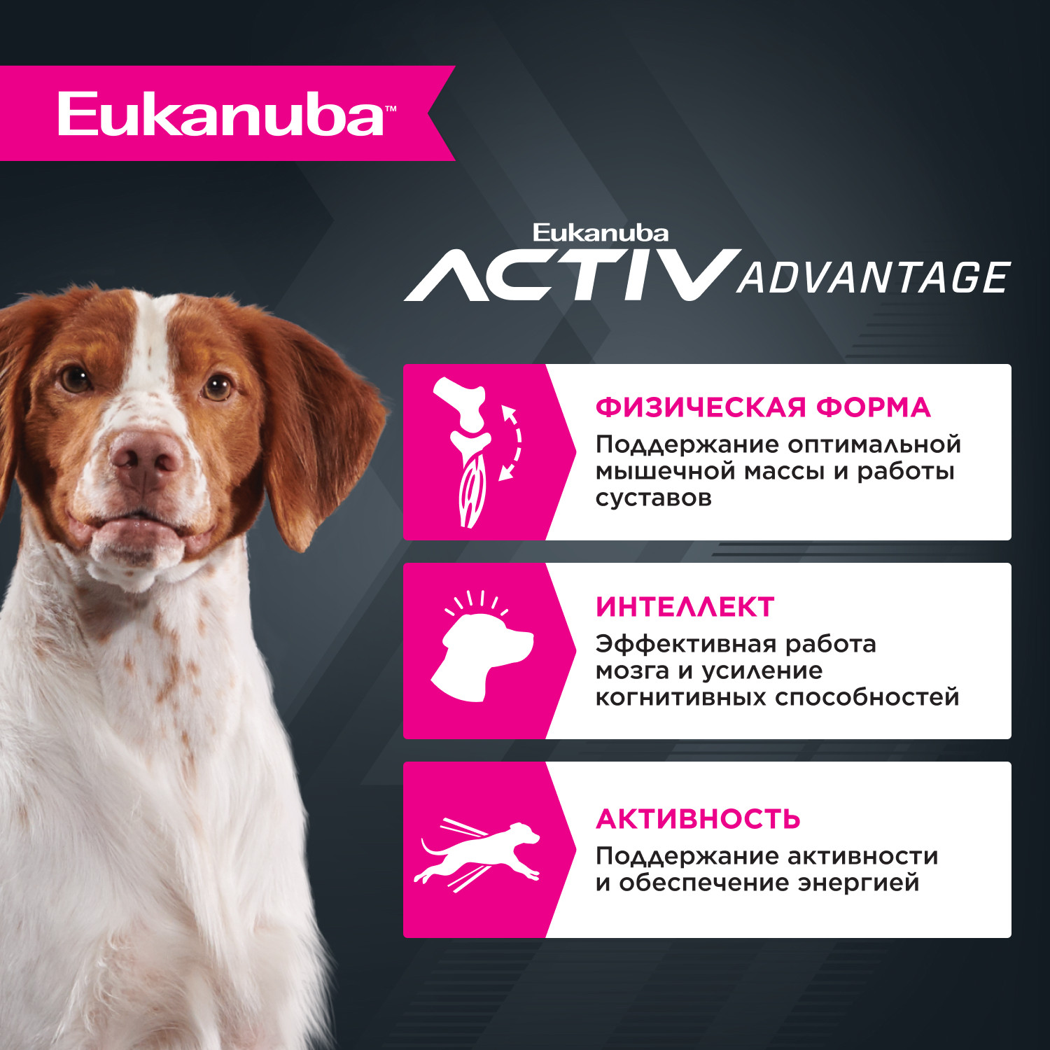 Корм Eukanuba Dog 3кг для взрослых собак средних пород сухой - фото 2