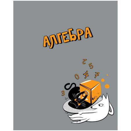 Тетрадь Полиграф Принт 48 лист. (Алгебра)