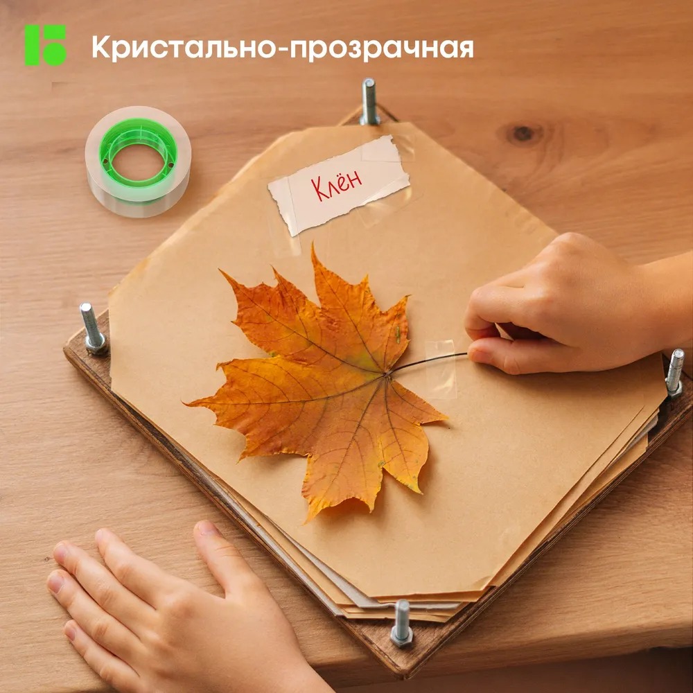 Клейкая лента BERLINGO прозрачный - фото 8